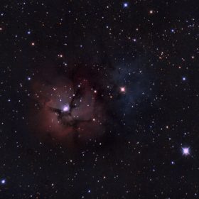 Trífida07072022b Trífida07072022b