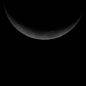 ocultvenus ocultvenus